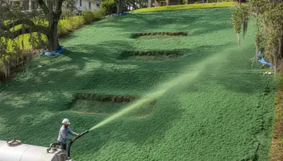 Hydroseeding hillside erosion control on sloped terrain in New Orleans, LA by Chop Chop Landscaping
